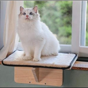 Cat window perch
